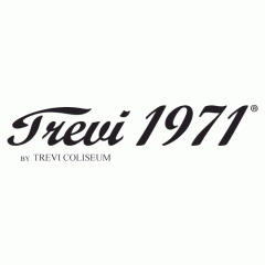 TREVI 1971